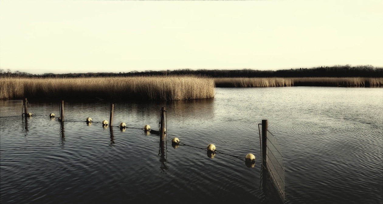 Schellbruch . L&uuml;beck